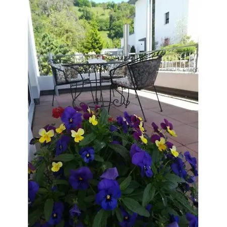 Apartament Geigenberg